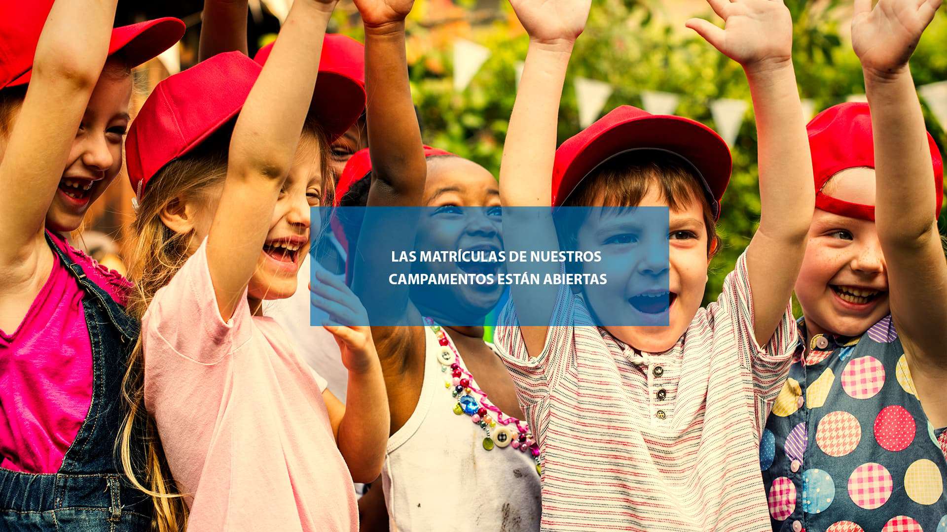 Matriculas abiertas